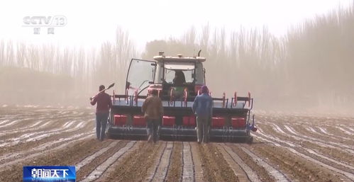 科技助力春耕生产 黑龙江水稻浸种催芽陆续开始